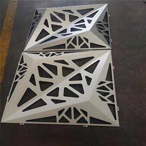 Pannello in Alluminio Traforato con Incisione Tridimensionale per Decorazione Esterna - Product Image 6