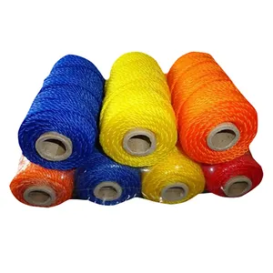 High Strength Twisted PP PE Twine Mason Line Fluorescent Color Braided Nylon Rope For Gardening Craft For Packing Use