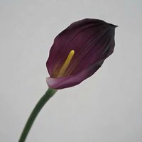 Bunga Calla Lily Buatan Berkualitas Tinggi YILUN Warna Putih Ungu, Sentuhan Alami untuk Dekorasi Pernikahan & Natal