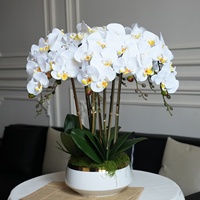 LUYI Kunstmatige Orchidee in Pot Realistisch Vlinderorchidee Arrangement met Keramische Pot voor Huis Hotel Bruiloft Decoratie