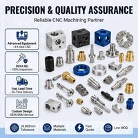 Piezas Torneadas CNC de Alta Precisión Fabricadas Profesionalmente, Latón, Acero Inoxidable Anodizado para Mecanizado Automotriz