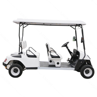 Voiture de golf électrique de luxe à 4 roues motrices, 4 places, avec 2 haut-parleurs, fabriquée par LIONDI Construction Machinery Factory