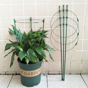 Bâtons d'escalade avec 3 anneaux pour plantes <span class=keywords><strong>de</strong></span> jardin, <span class=keywords><strong>Support</strong></span> <span class=keywords><strong>de</strong></span> fleurs, en treillis floral, bacs à semis, dosettes, 40 pièces - Product Image 5