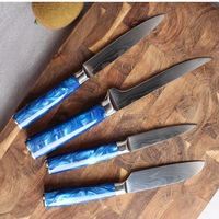 Ensemble de couteaux de cuisine de haute qualité avec lame en acier inoxydable et manche en résine