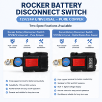 Interrupteurs de déconnexion de batterie universels 12V 24V 100A en cuivre à 2 pôles avec poignée antidérapante pour coupure d'alimentation automobile
