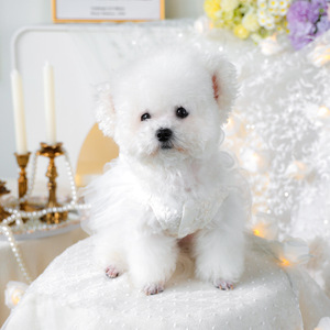PETCIRCLE Ropa de Primavera/Verano para Perros y Gatos, Vestido de Novia Carola - Product Image 2