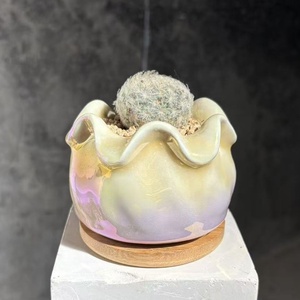 Pot de fleurs durable pour plantes succulentes, design minimaliste, effet arc-en-ciel coloré, pour bureau, petit pot pour plantes vertes, <span class=keywords><strong>cactus</strong></span> et succulentes - Product Image 2