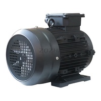 Moteur électrique monophasé à arbre creux en aluminium 24 mm 4,2 CV 3,1 kW 220 V 60 Hz Protection IP55 Efficacité IE2 HSL100L1-4