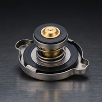 DE RONG - Tapa del Tanque de Expansión del Radiador para Nissan, Hyundai, Toyota Hiace, Suzuki, BMW, Chevrolet, Mazda 16401-63010 Mb605277