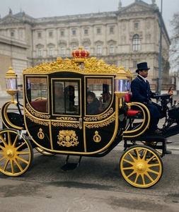 Calèche Électrique Écologique pour Chevaux, Calèche Princesse Douce et Rêveuse, Calèche Royale à Châssis Renforcé pour Zones Scéniques Écologiques - Product Image 2