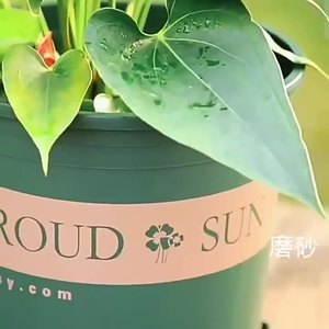 Maceta de Plástico Sunaroud Extra Grande y Resistente para Jardinería en el Hogar - Product Image 3