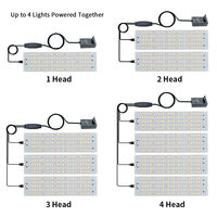 Modul Lampu Tanam DC12V PCB Board dengan Kabel Timer Dimmer LED Spektrum Penuh 1-4 Kepala untuk Tanaman Indoor, Herbal, dan Bunga