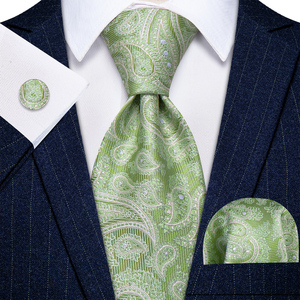Cravates vertes pour hommes, rayées, à motifs Paisley et floraux, en jacquard <span class=keywords><strong>3D</strong></span>, décontractées et professionnelles, avec pochette de costume et boutons de manchette, idéal pour un cadeau, dropshipping - Product Image 6