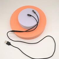 Câble de charge magnétique USB 2.0 à 2 broches 2,54 mm 2-en-1 pour lunettes intelligentes, accessoires en PVC