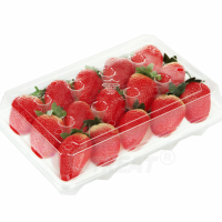 Boîte en plastique personnalisée pour fraises, boîte en plastique transparente de qualité alimentaire pour 15 fraises