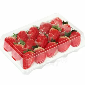 Kotak paket Kustom Pabrik sekali pakai grosir nampan busa buah bening hewan peliharaan kemasan nampan plastik stroberi