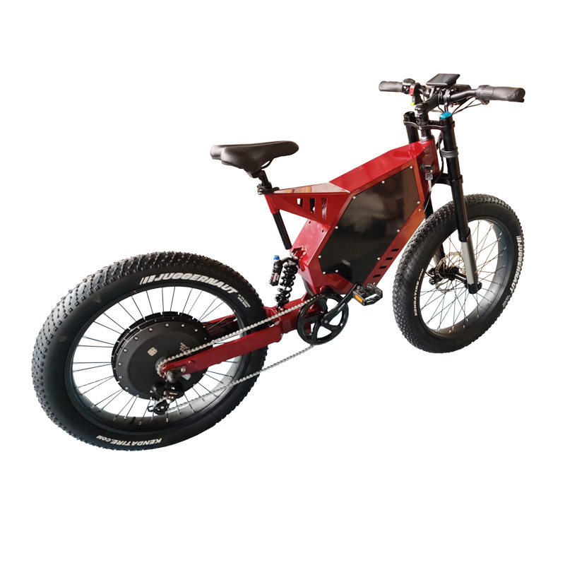 Sur Ron Snowbike