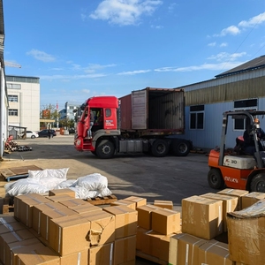 Spedizioniere Marittimo e Terrestre Servizi Logistici Porta a Porta LCL+Trasporto su Camion Cina Italia Bulgaria Germania Spagna Paesi Bassi Francia - Product Image 4