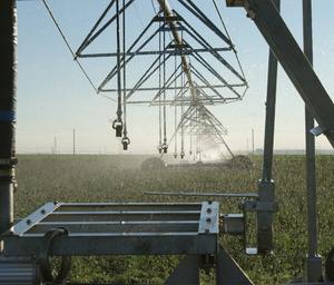 Quattro Ruote Lineare Movimento di Irrigazione Sistema di Irrigazione Laterale/Spostare Impianti di Irrigazione in Vendita - Product Image 1