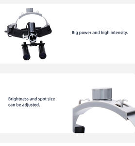 Hoge Intensiteit 8x Vergrotingsloep Met Licht Elektrische Krachtbron Voor Tandheelkundige En Huisdierenchirurgische Klinieken Rechtstreeks Van De Fabriek - Product Image 4