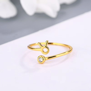 HOVANCI moda kadınlar parmak yüzük ayarlanabilir 12 Astrology zodyak ince halka Birthstone S925 gümüş yüzük - Product Image 3
