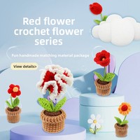 Kit de crochet fait main personnalisé - Série végétale, ornements décoratifs en fibre acrylique d'Anhui