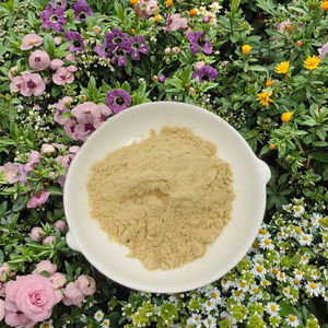 Extrait d'herbes de qualité alimentaire, herbe traditionnelle chinoise, ginseng de Sibérie, Panax Ginseng, poudre de vitamines, conditionné en fût - Product Image 2