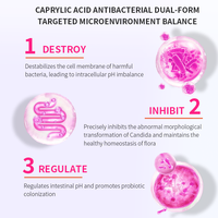 Capsules Nettoyantes OEM Candida aux Herbes Naturelles pour la Santé Intestinale et la Détoxification du Côlon – Végétaliennes, Usage Adulte