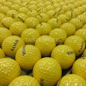 Изготовленный на заказ логотип для отработки ударов 2 слоя balles de мячи для гольфа