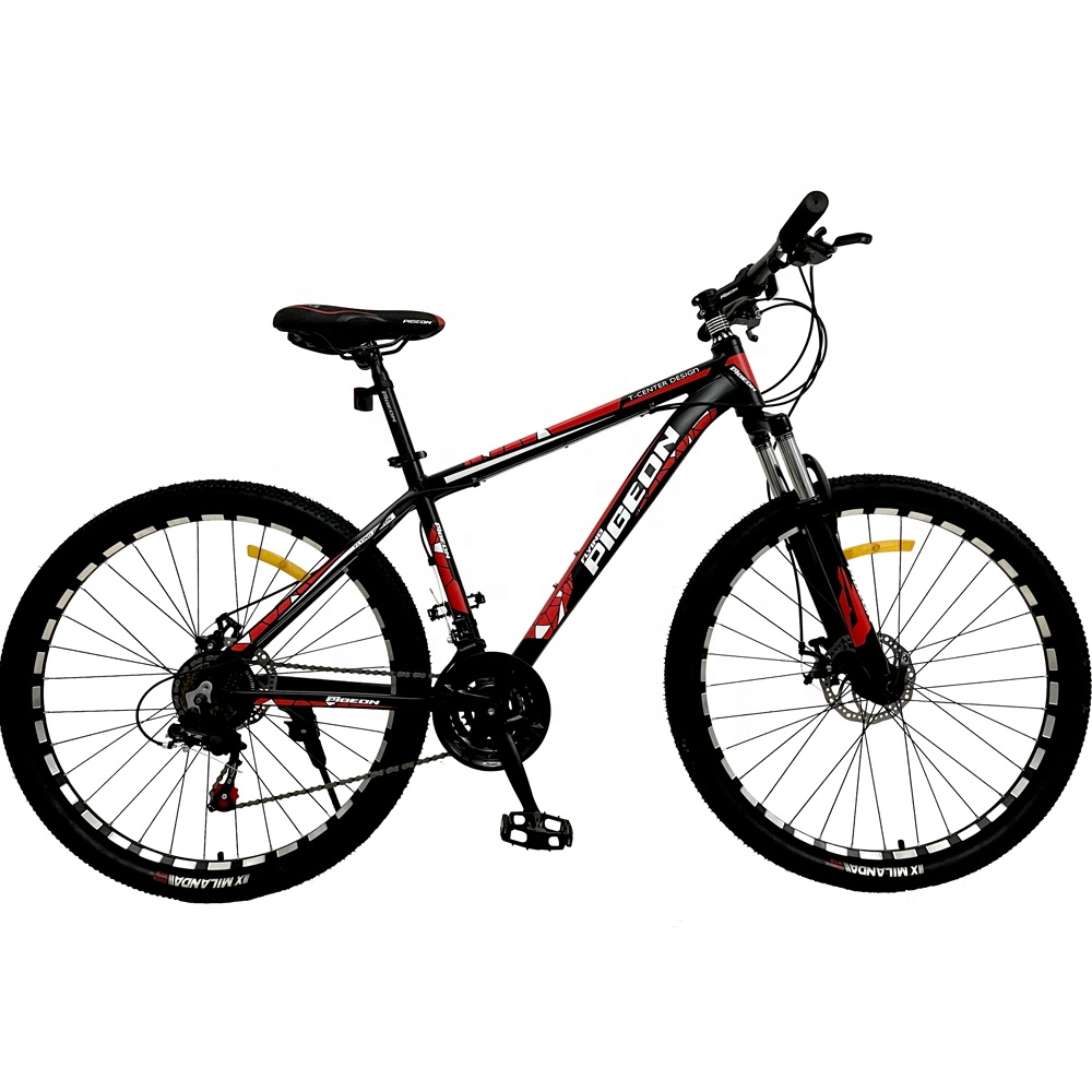 Pigeon， Road Bike， 14-Speed Gear. : Road Bike, Aluminum Aero