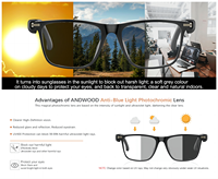 Lunettes Intelligentes SHR A10 avec Traduction IA, Verres Photochromiques, Prise en Charge de Plus de 160 Langues, Traduction en Temps Réel, Appels Mains Libres, Musique