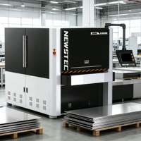 Machine de polissage à plat de haute qualité pour le débavurage et le polissage des métaux, idéale pour la finition des surfaces en acier inoxydable et en aluminium
