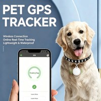 Support de suivi pour animaux de compagnie compatible AirTag, ODM/OEM, pour chiens et chats, avec positionnement global et anti-perte