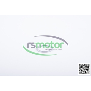 Anillo de sellado original OEM para motor Jenbacher Machinery - Product Image 6