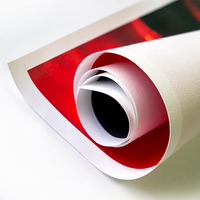 Toile en polyester mate pour affiches d'art et impression photo