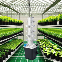 Système de culture hydroponique vertical facile et de grande taille avec éclairage LED, couvercle en PVC/PE et pompe incluse pour légumes-feuilles - Agriculture verticale