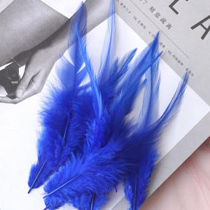 الريش بالجملة مع أطراف مدببة ريش الدجاج الملون مع أطراف بيضاء كبيرة ديي الحرف اليدوية إكسسوارات الملابس - Product Image 4