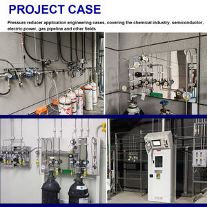 Medizinisches Sauerstoff labor Luftdruck regler Gas paneel ausrüstung mit Ventil manometer - Product Image 6