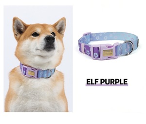 Colliers pour animaux <span class=keywords><strong>de</strong></span> compagnie aux couleurs personnalisées, colliers pour chiens à dégradé <span class=keywords><strong>de</strong></span> couleurs, colliers à la mode réglables, produits <span class=keywords><strong>de</strong></span> sécurité anti-perte gravés pour animaux <span class=keywords><strong>de</strong></span> compagnie - Product Image 3