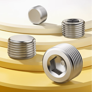 Wz nóng bán 304 316 thép không gỉ PT lục giác phích cắm DIN 906 lục giác ổ cắm phích cắm - Product Image 6