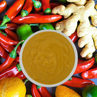 Base de Soupe Acide Dorée Épicée, Assaisonnement Composé, Sauce à l'Acide Citrique - 950g en Vrac, 6 Bouteilles/Carton, Qualité Restaurant, Multi-Usages