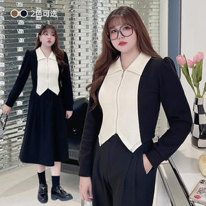 เดรสสีดำแขนยาวทรงเอไลน์ คอปก ซิปหน้า แต่งสีตัดกัน เอวยางยืด ไซส์พลัส สวมใส่สบายๆ ได้ทุกวัน - Product Image 3