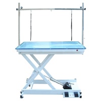 Table de toilettage pour chien réglable en hauteur, en acier inoxydable organique, avec éclairage LED, écologique