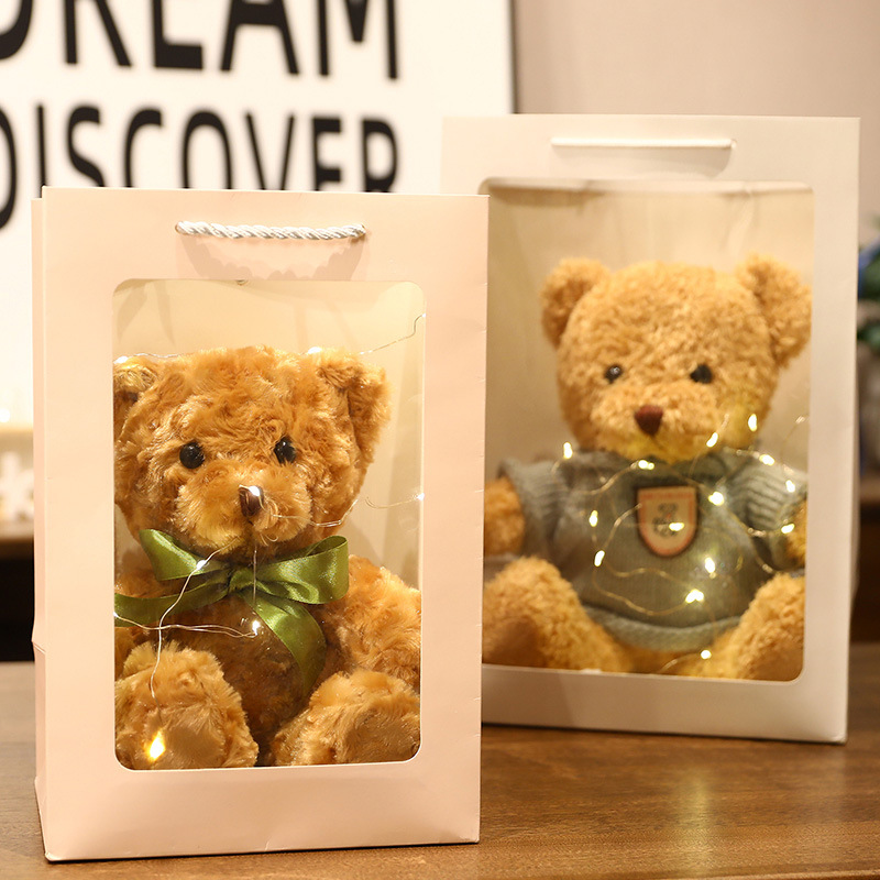 gift handbag with Led twinkle light