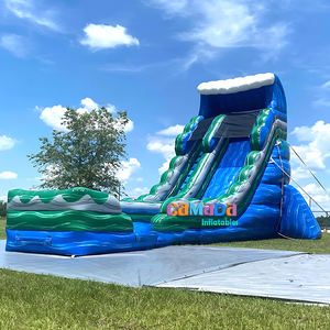 Toboggan aquatique gonflable commercial tropical palmier, toboggan aquatique humide et sec avec piscine, château gonflable pour enfants, maison de rebond - Product Image 6