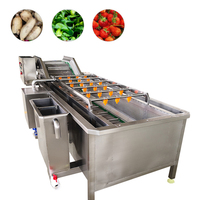Industriële multifunctionele fruit- en groentewasmachine Groenteverwerkingsinstallatie Appel Sinaasappel Maïs Reiniging Hoge efficiëntie