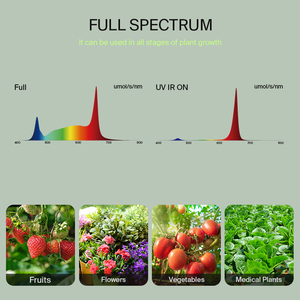 Invernadero Interior Full Spectrum Led 730W <span class=keywords><strong>800W</strong></span> 1200W Reemplazo de 1000W <span class=keywords><strong>HPS</strong></span> para plantas medicinales de interior - Product Image 6