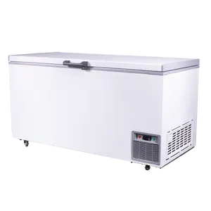 -40度冰淇淋冰柜低温冷柜海鲜市场大容量冰柜