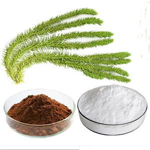 Huperzia Serrata chiết xuất <span class=keywords><strong>huperzine</strong></span> hupa <span class=keywords><strong>huperzine</strong></span> serrate p.e Hup 98% <span class=keywords><strong>hplc</strong></span> - Product Image 4