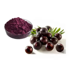 Acai berry acai poudre en vrac acai berry extrait 4:110:1acai berry extrait 4:1 10:1 anthocyanosides